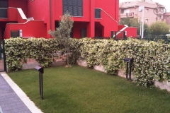 Fragarie_02