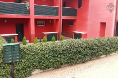 Fragarie_03